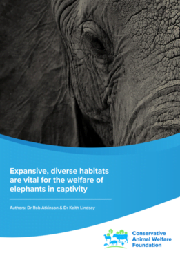 Expansive, diverse habitats are vital for the welfare of elephants in captivity