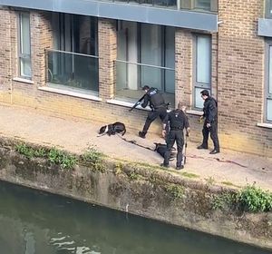 Metropolitan Police killing Marshall and Millions in London.