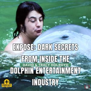 Dark Secrets from inside the Dolphin Entertainment Industry Part 1