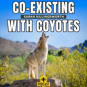 Co-existing with Coyotes with Sarah Killingsworth