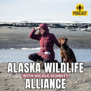 Nicole Schmitt, the Executive Director of the Alaska Wildlife Alliance
